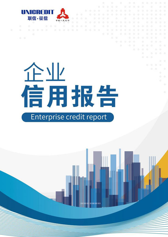 Evaluate credit report